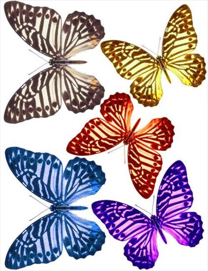 PAPIER decoupage 2 - mariposas.jpg