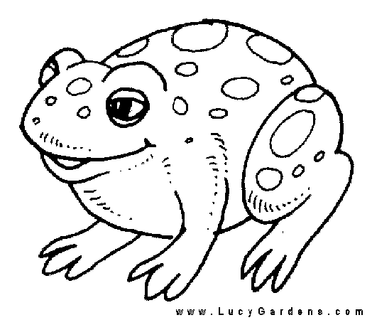kolorowanki - frog-and-toad-coloring-pages-4.gif
