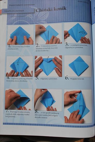 Księga origami - DSC_0101.JPG