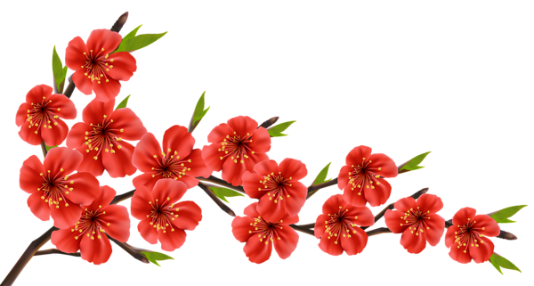 1 PNG - Red_Spring_Branch_PNG_Clipart_Image.png