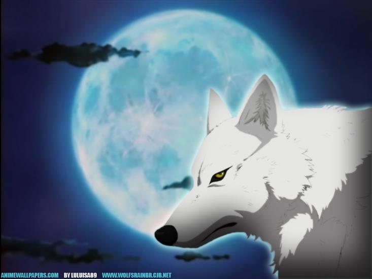 wilki i lisy - wilk i księżyc.jpg
