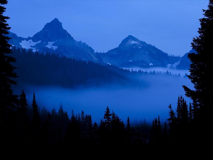 Webshots Premium ... - Foggy Valley Below Paradise and the Tatoosh Range, Mount Rainier National Park, Washington.jpg