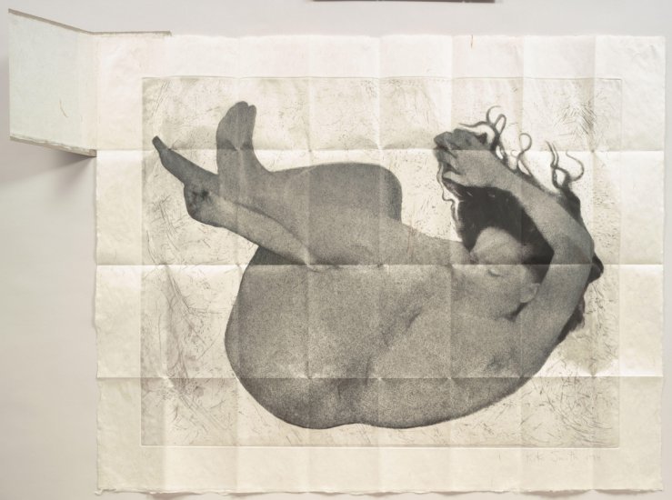 Kiki Smith - Kiki Smith - Free Fall.jpg