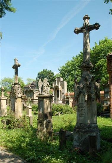 Cmentarz Rakowicki - 31.jpg