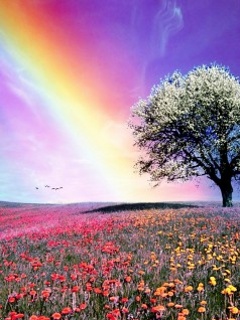 Krajobrazy - Rainbow Nature.jpg