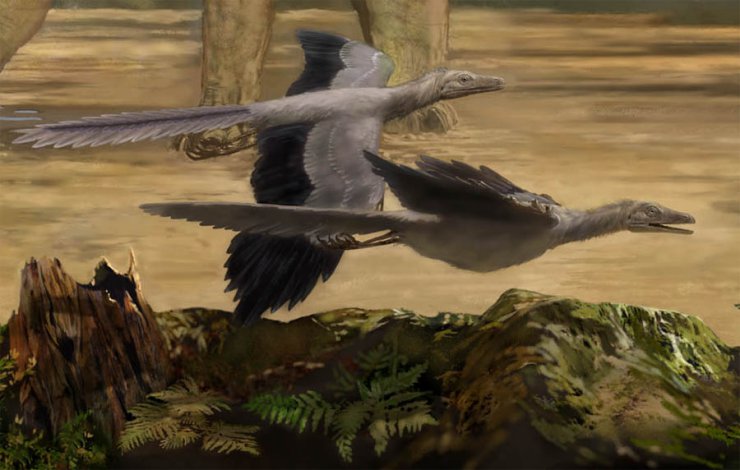  Prehistoria - Karen_Carr_Jurassic_Archaeopteryx_detail.jpg