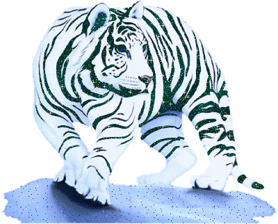 brokatowe zwierzaki - white_tiger_1_.gif