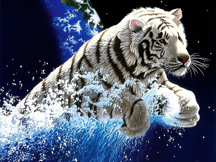 OBRAZY-GIFY NIEPOSEGREGOWANE - Tiger.jpg