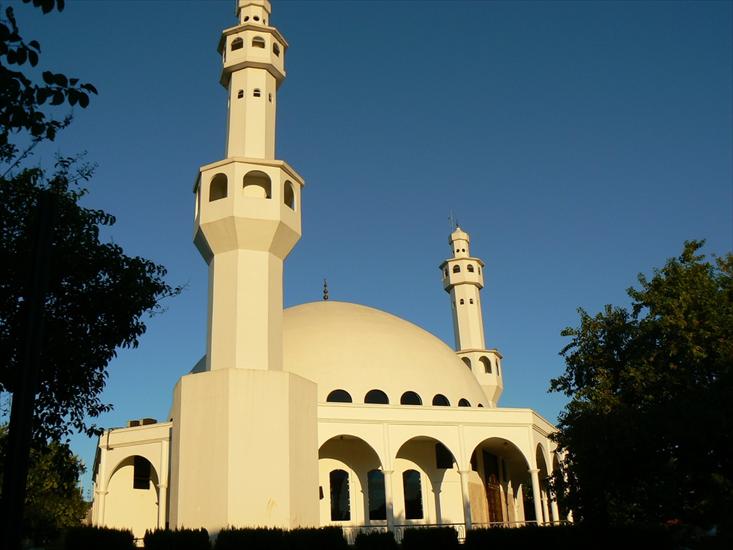 Architecture - Mosque in Brazil.jpg