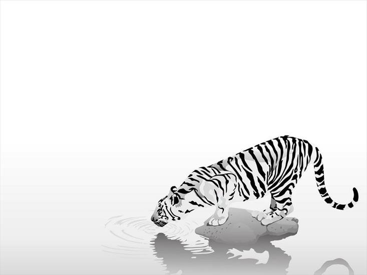 3D-Art - Tiger_on_river.jpg