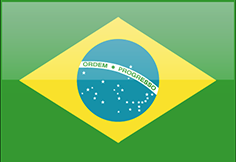 FLAGI 2 - Brazil.png