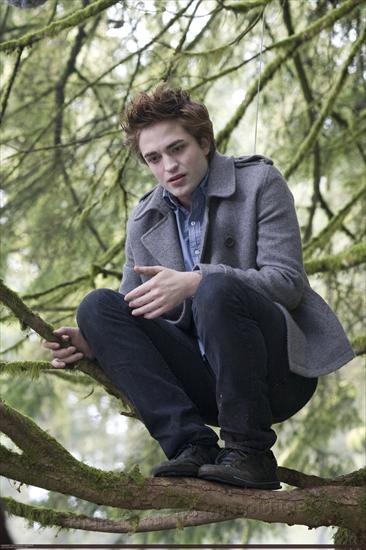 Robert Pattinson-Edward Cullen - edward-edward-cullen-2575468-1707-2560.jpg