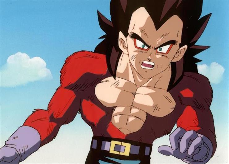 Dragon Ball Tapety - cels0136.JPG