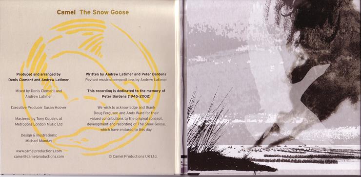 Scans - Snow Goose - 0007.tif