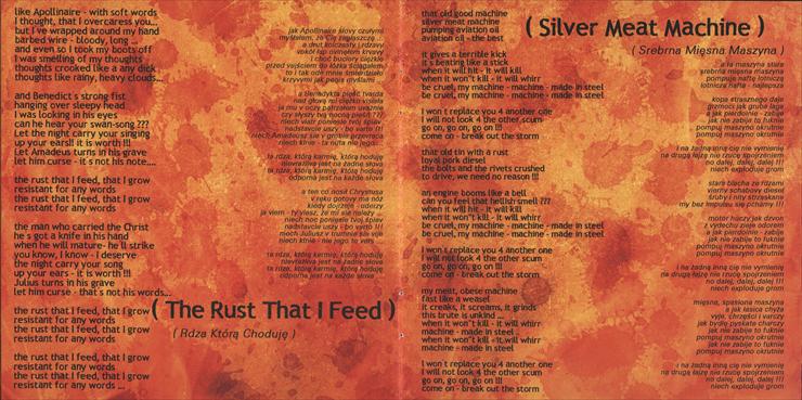 CD - Acid Drinkers - Verses Of Steel 13.jpg