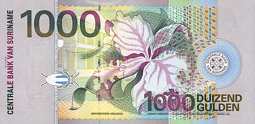 Suriname - SurinamPNew-1000Gulden-2000_b.jpg