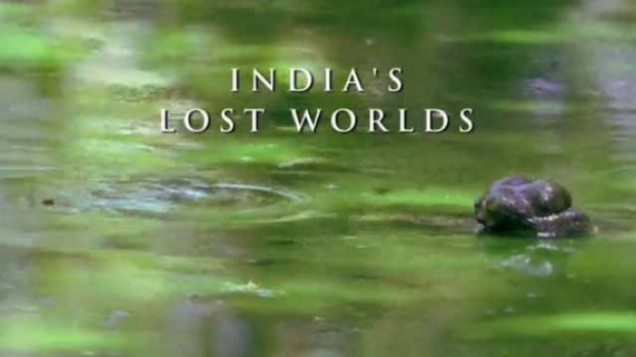 Indie i ich zaginione światy - Indie i ich zaginione światy 2015L-Indias Lost Worlds.jpg