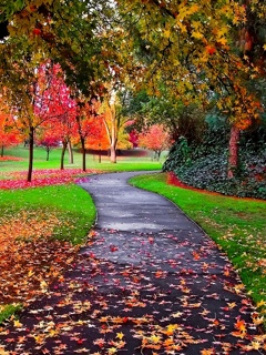 Krajobrazy - Autumn_Colors.jpg