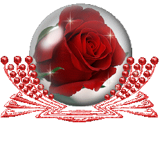 GIFY-kwiatki - czerwona róża 16.gif