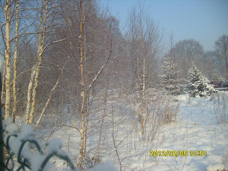 Zima 2012r- moje fotki - Zima 2012r 023.jpg