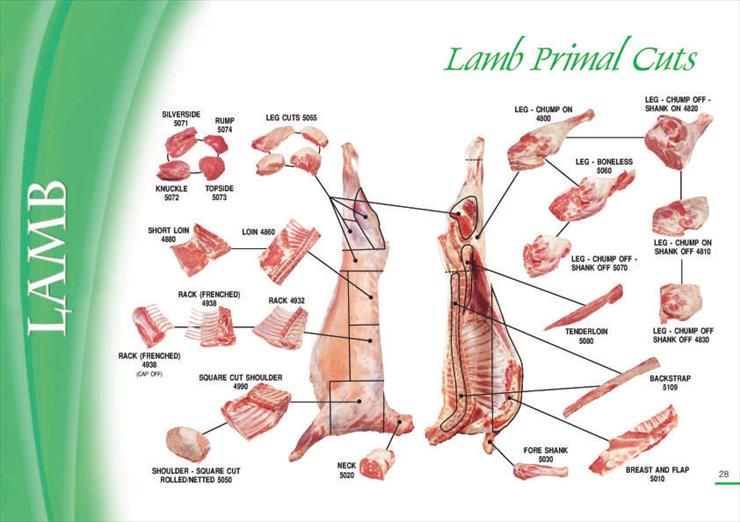 Podział zwierzyny - lamb_cuts1.jpg