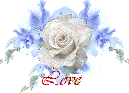 Białe róże - Love.gif