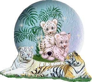 Zwierzaki - Tiger402.gif