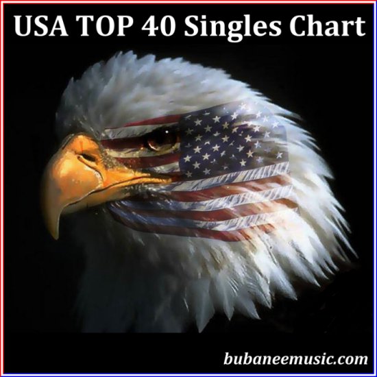 1 - USA Top40 and Top100 Debuts- 23rd March 2013 Bubanee chomikuj - USA Top 40 Cov.png