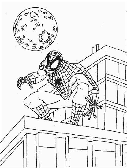 spiderman - spd12.gif