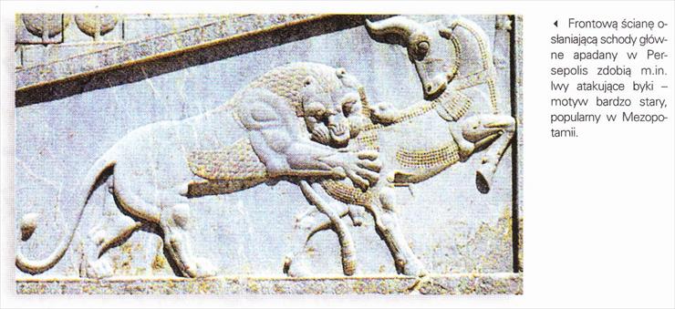 Persja, - obrazy - Obraz IMG_0005. Lew atakujący byka - zdobienie fron...ny osłaniajćej schody główne apadany w Persopolis1.jpg