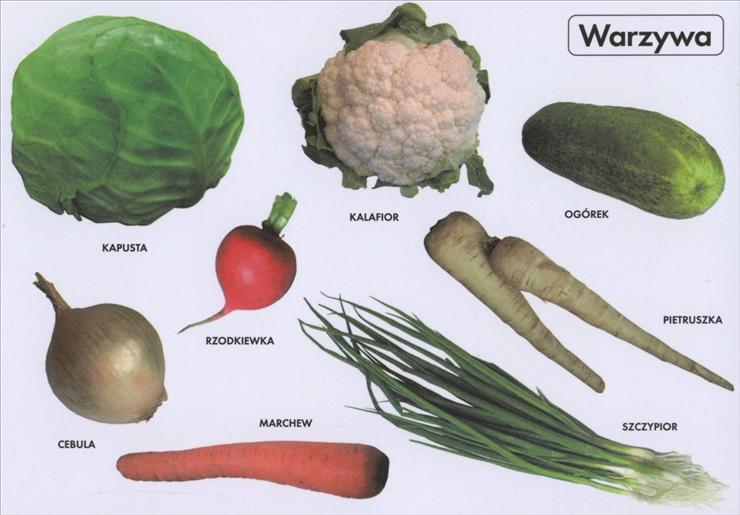 Tablice edukacyjne - warzywa.jpg