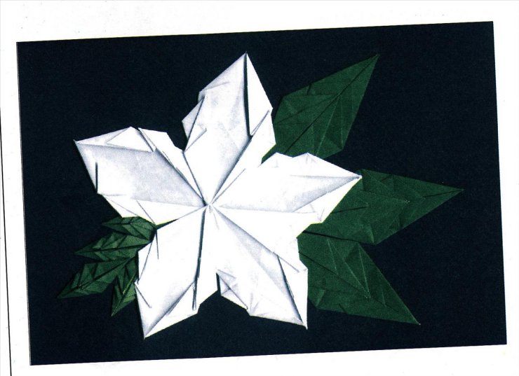 Origami - IMG_00091.jpg