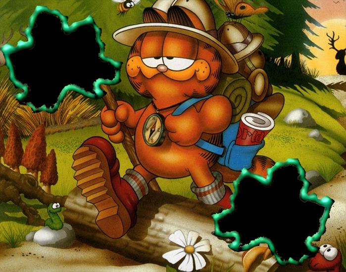 Garfield - Garfield - 0979.png