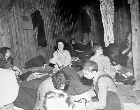 archiwalne fotogr... - Women survivors suffering from Typhus in the Bergen-Belsen concentration camp.1.jpg