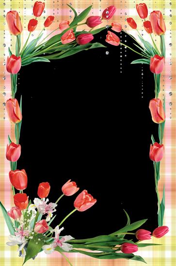 Kwiatowe - Ramka z kwiatami 5565.png