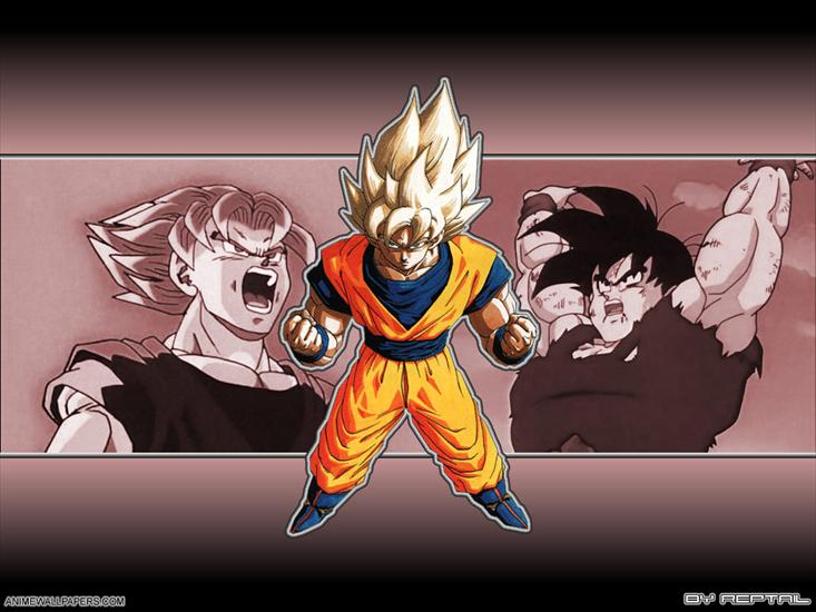 Tapety - dbz_53_1024.jpg