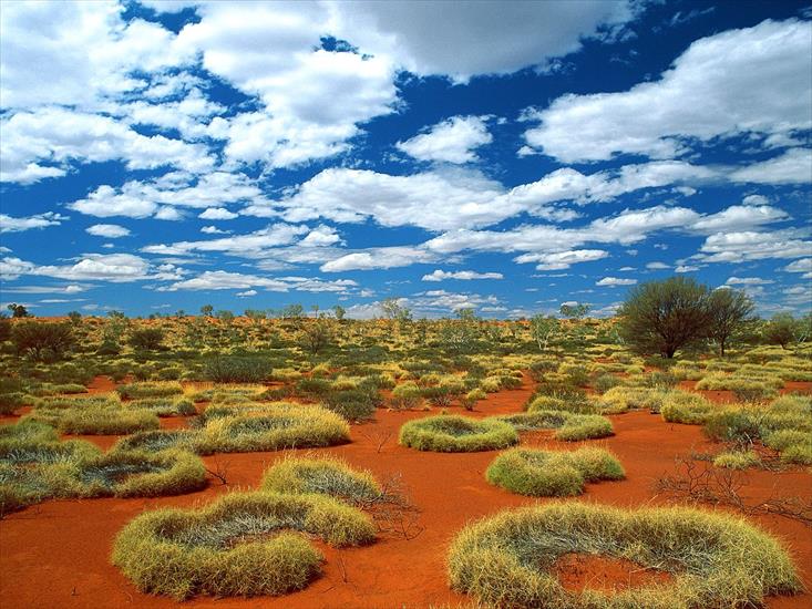 Tapetki - Old Spinifex Rings, Little Sandy Desert, Australia.jpg