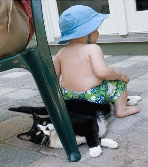 koty - siedzisko dla dziecka.jpg