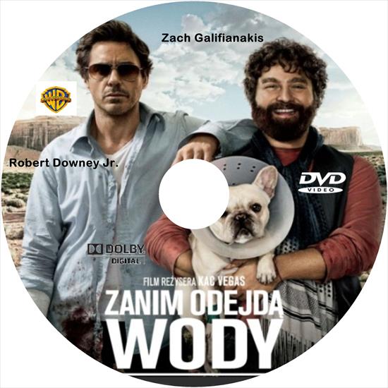 DVD-nadruki - Filmy - Zanim Odejdą Wody - DVD.bmp