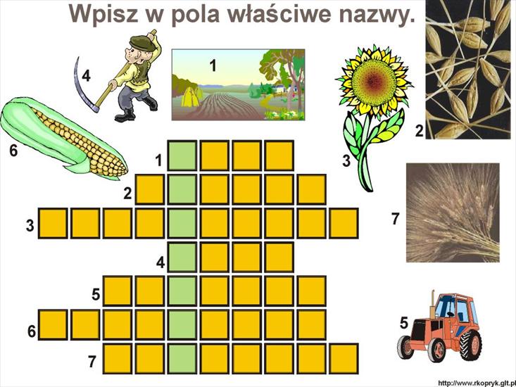 Krzyżówki - Krzyżówki 154.jpg