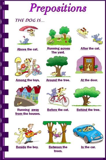 Picture Worksheets - Prepositions.jpg