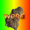 Kolekcja - weed.jpg