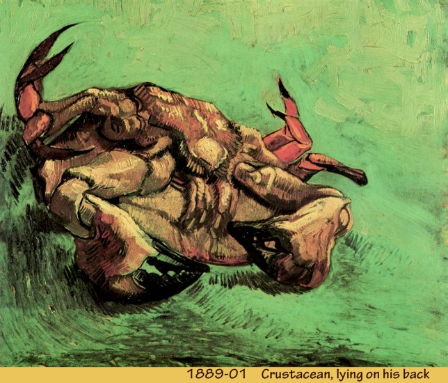 3. Arles 1888 -89 - 1889-01 11 - Crustacean, lying on his back.jpg