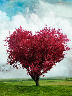 Heart - Love_Tree.jpg