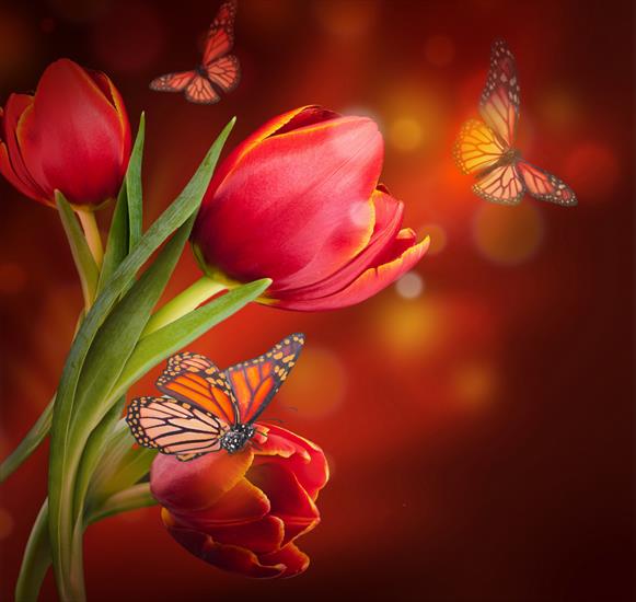 just_angel - Tulipsbutterflies.jpg