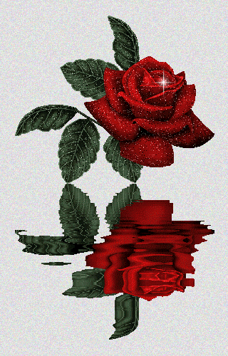 róże2 - 122.gif