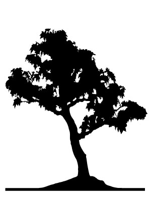 Drzewa - szablony 571.jpg