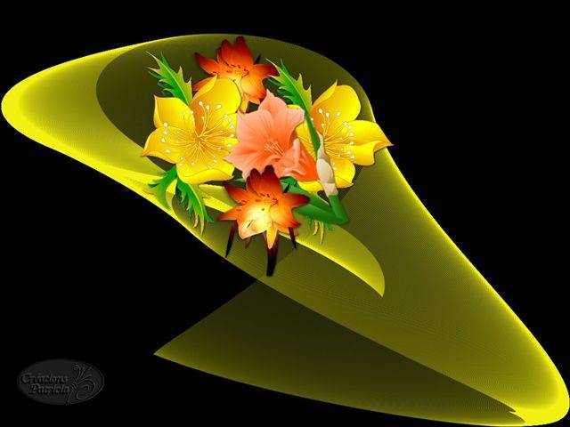 Kwiaty Chomisia52 - Obraz6.jpg