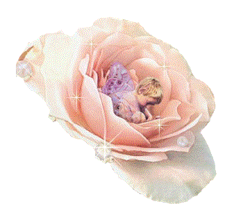 ruchome gifki kwiaty - roza1.gif