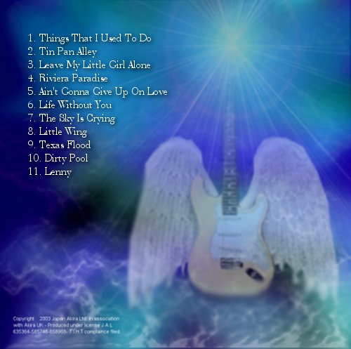 Slow Blues - Stevie Ray Vaughan - The Slow Blues Back Cover.jpg